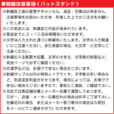1GJYA25300F-S1