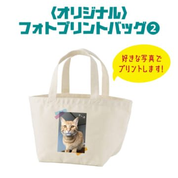 BAG-003